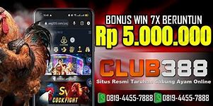 Indobet88 Sabung Ayam